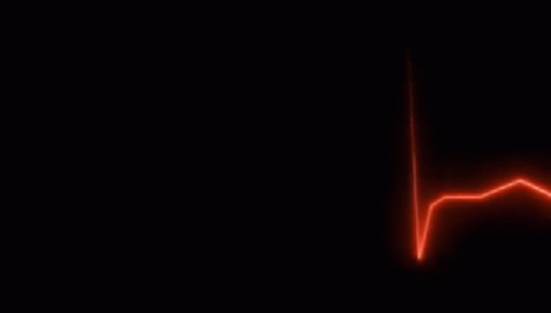 Obtaining the BLS (Basic Life Support and Defibrillation) certification: A lifesaving skill for&nbsp;everyone